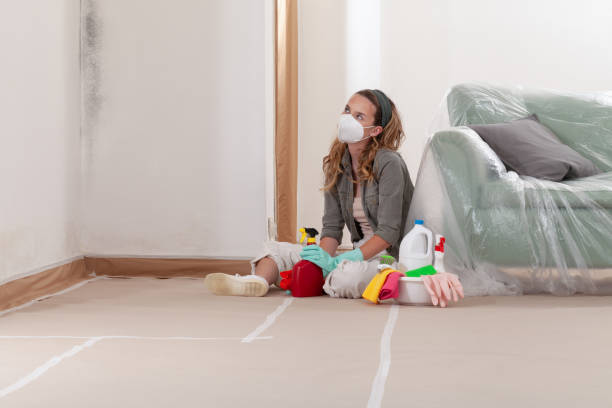 Reliable Crawl Space Mold Removal contractor in Lake Mary, FL by WQB Mold Removal
